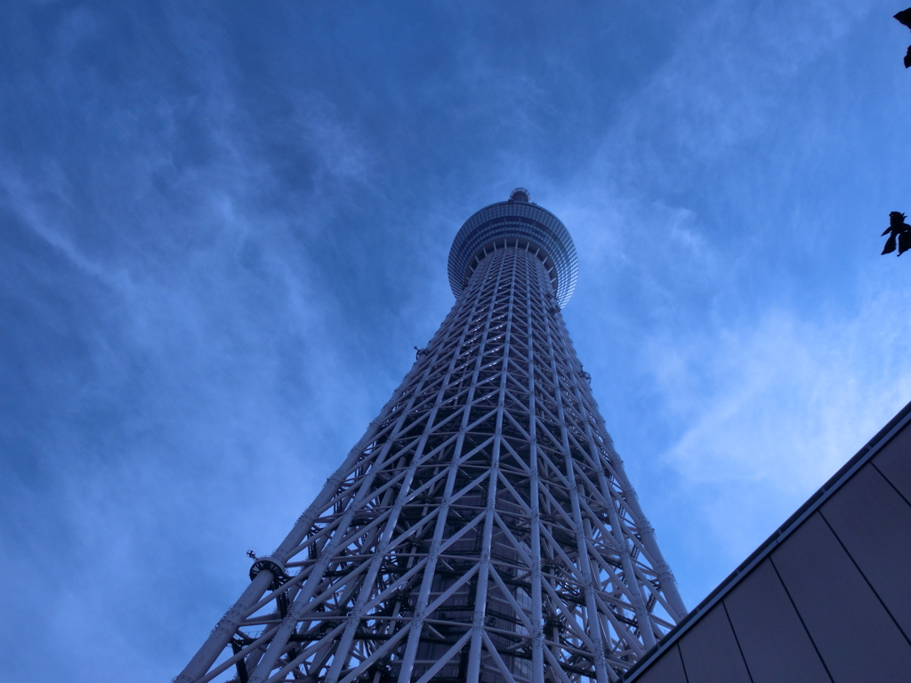 スカイツリー2