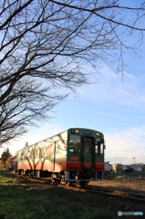 冬の気動車