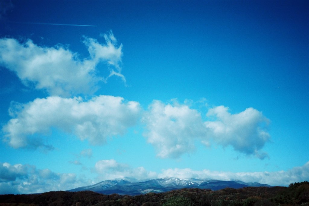 ほんとうの空