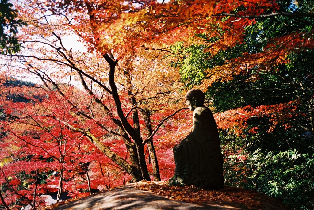 紅葉に囲まれて