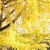 DPP_0045
