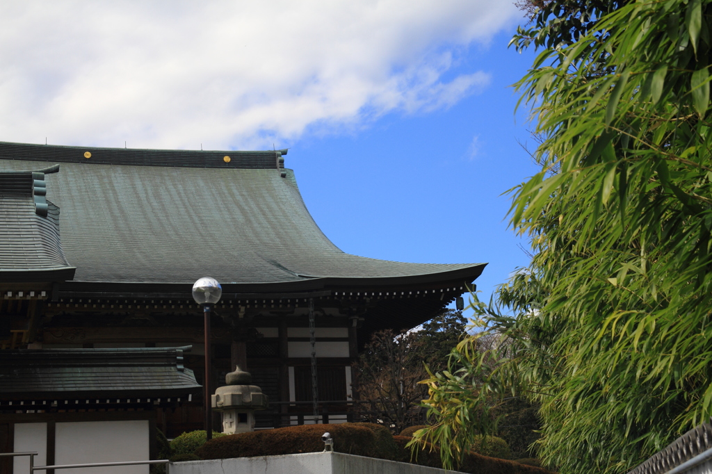 三鷹～吉祥寺　街歩き