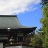 三鷹～吉祥寺　街歩き
