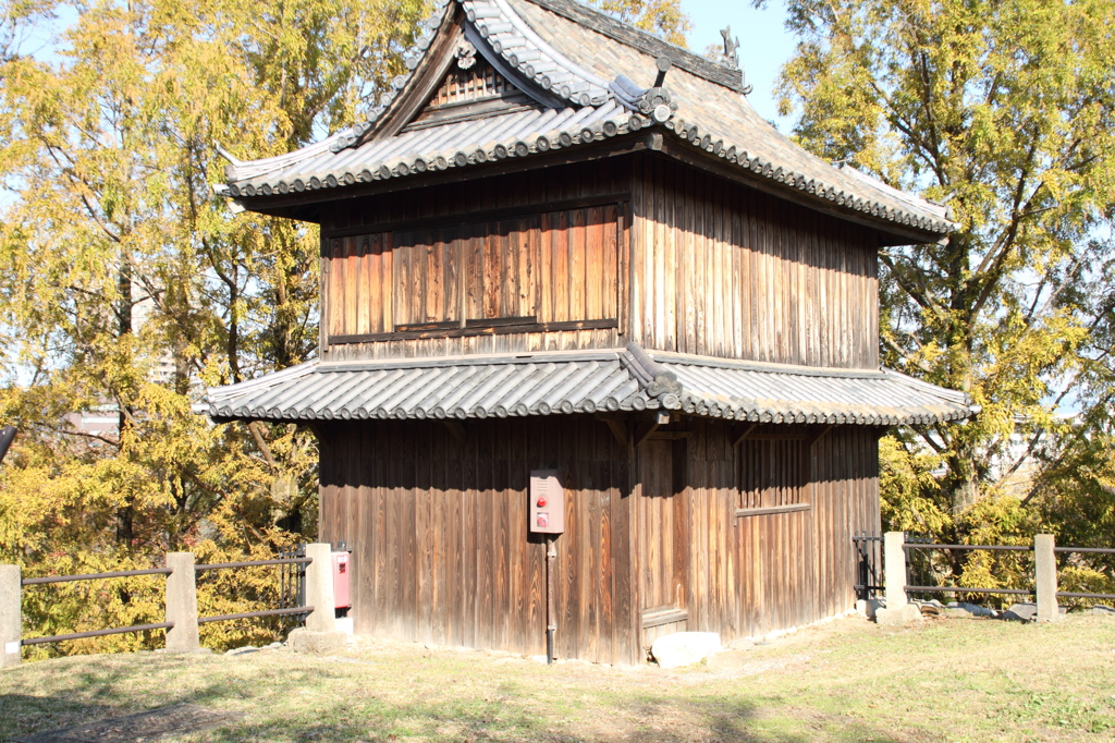 DPP_0005