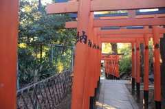 上野　花園稲荷神社