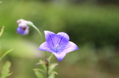 20140823_5005