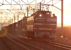 20141129_50009a