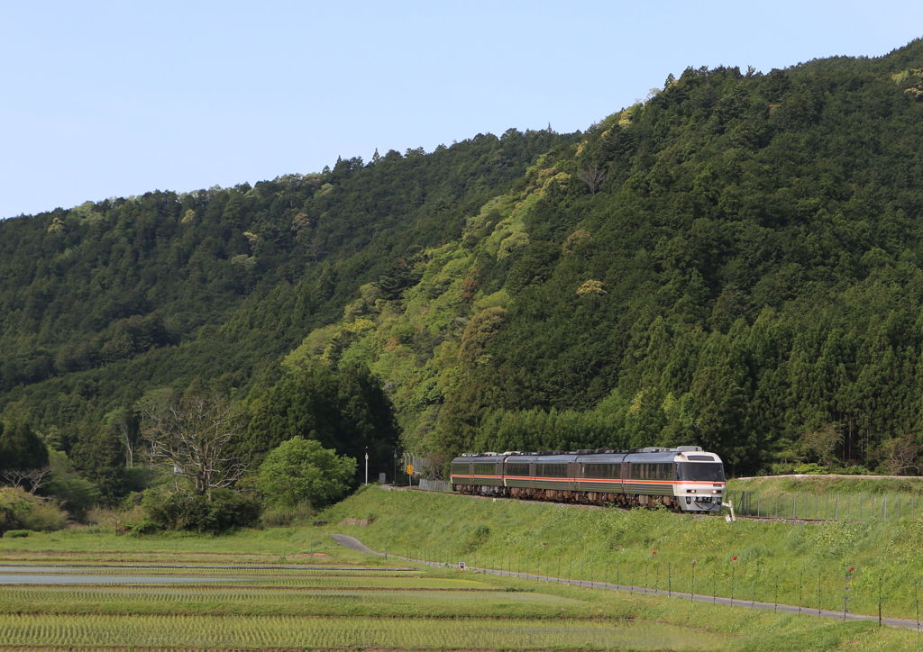 紀勢線