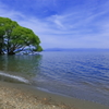 20150517_50071a