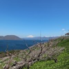 洞爺湖   梅の花と羊蹄山