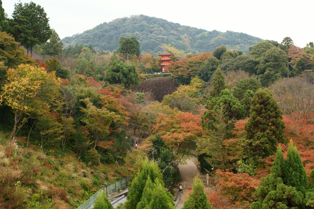 清水の舞台から