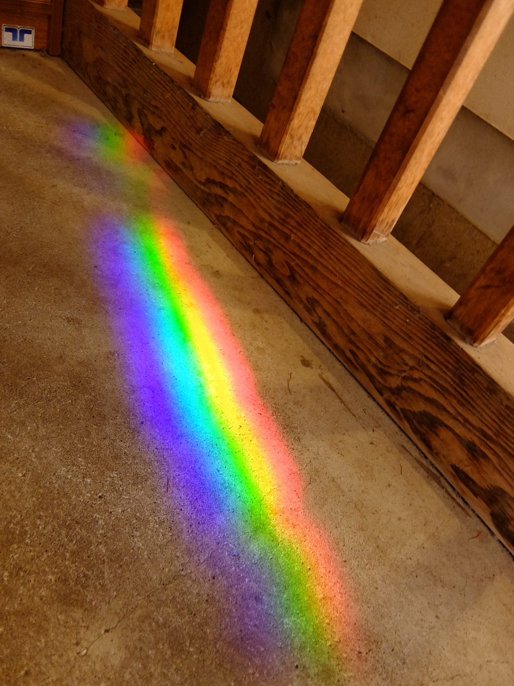Rainbow