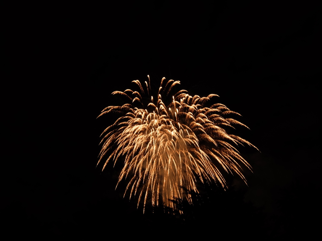 9月の夜空を彩る花火