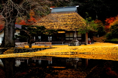 黄葉の金言寺