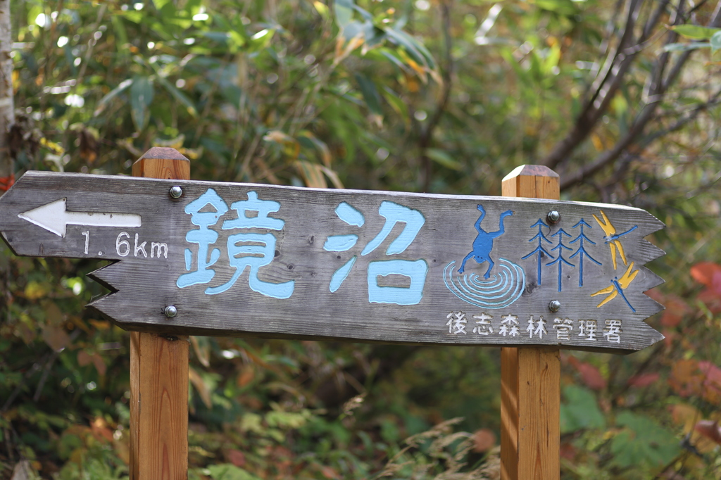 ニセコ連峰①　鏡沼へ