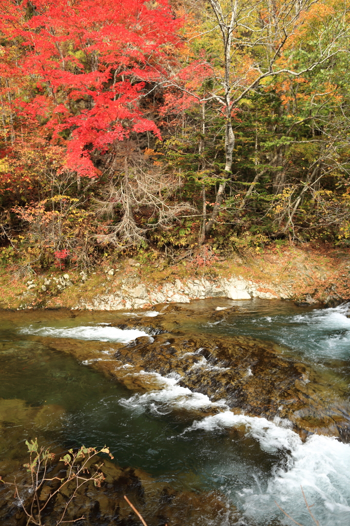 大滝 三階滝公園①
