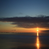 The shimmer of the morning sun