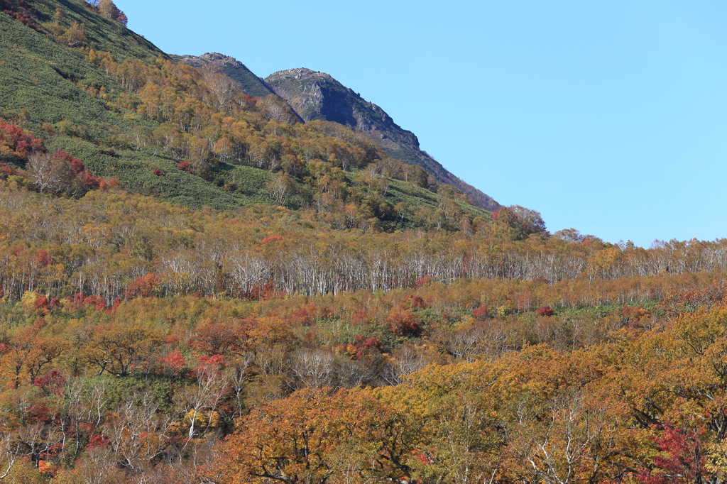 ニセコ連峰⑱ 鏡沼からの山々