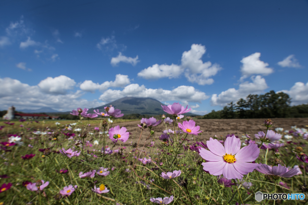 北の大地と秋の空