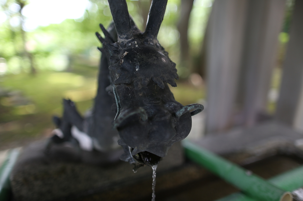 水龍