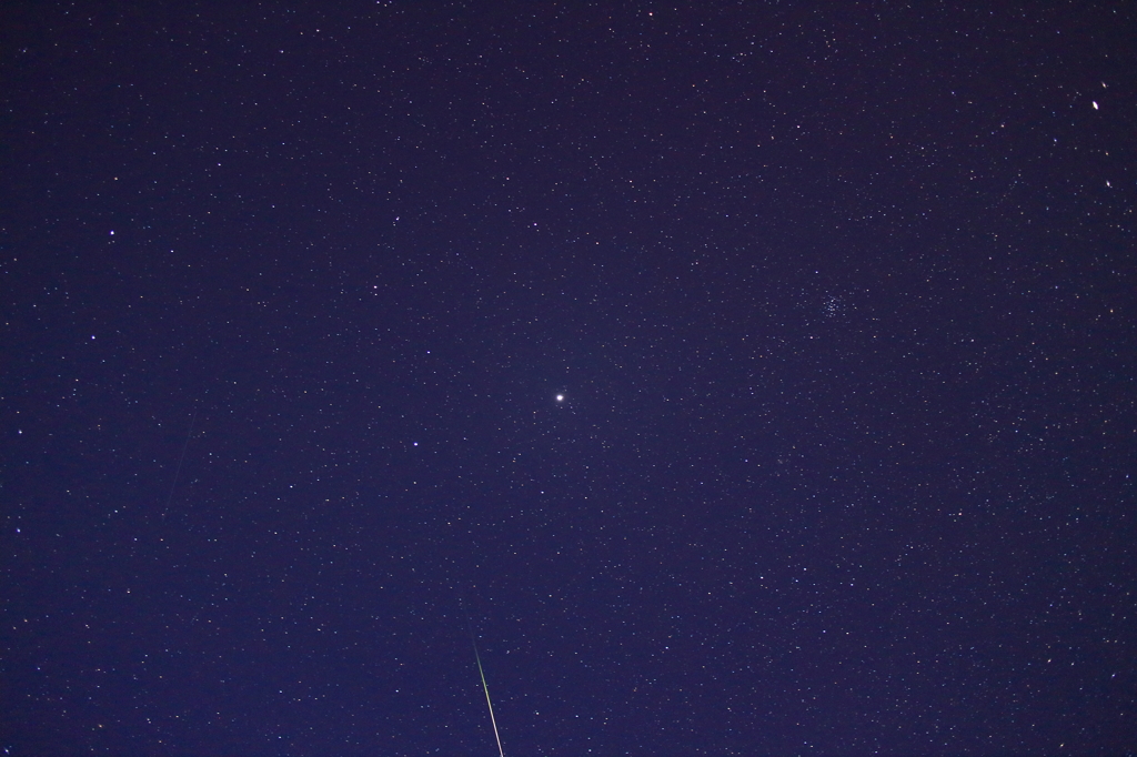 しし座流星群②