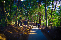 高尾山