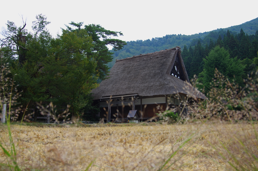 白川郷・明善寺