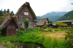 合掌造りの家々