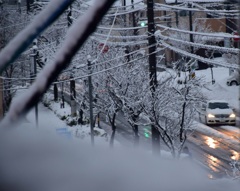 外界 雪景色