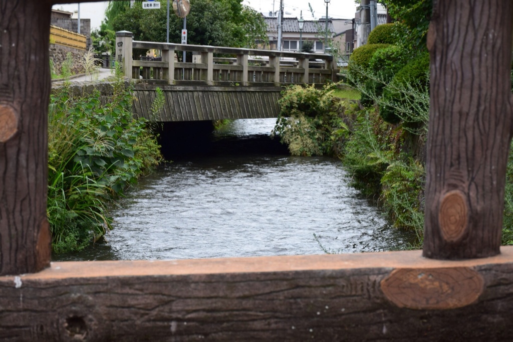 橋を木り取る