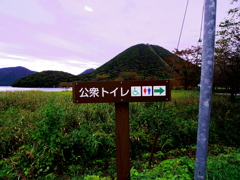 トイレはあちらです