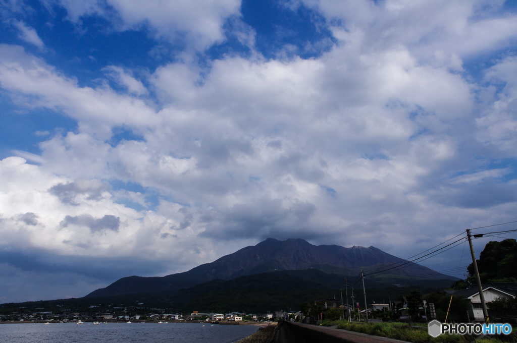 桜島 清純派