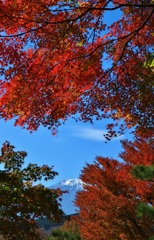 紅葉に包まれて