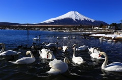 山中湖