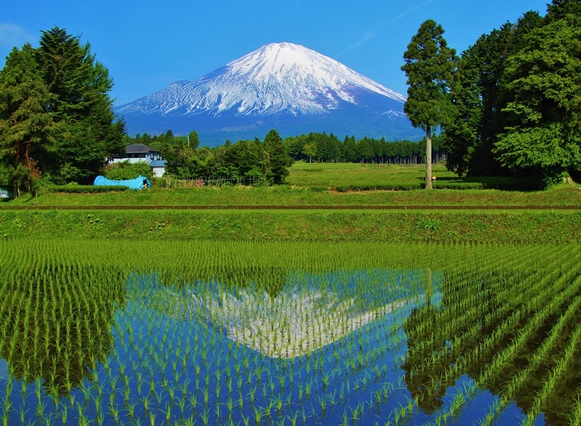 逆さ富士