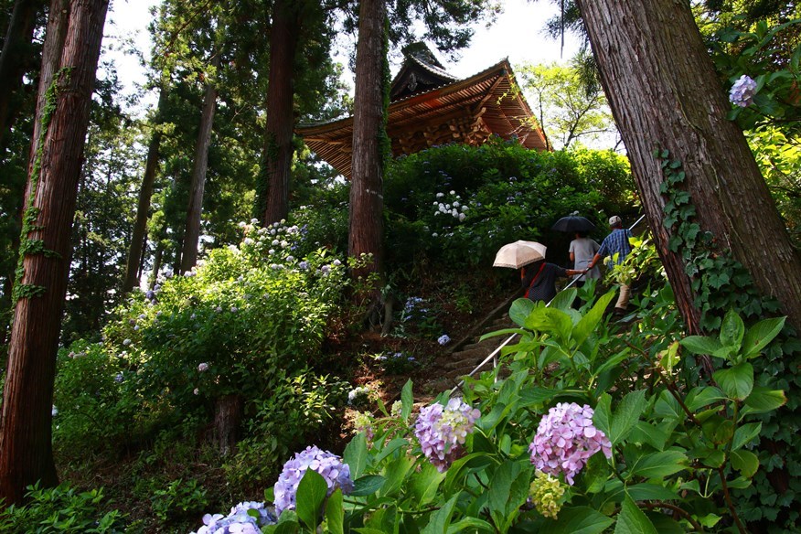 妙法寺４