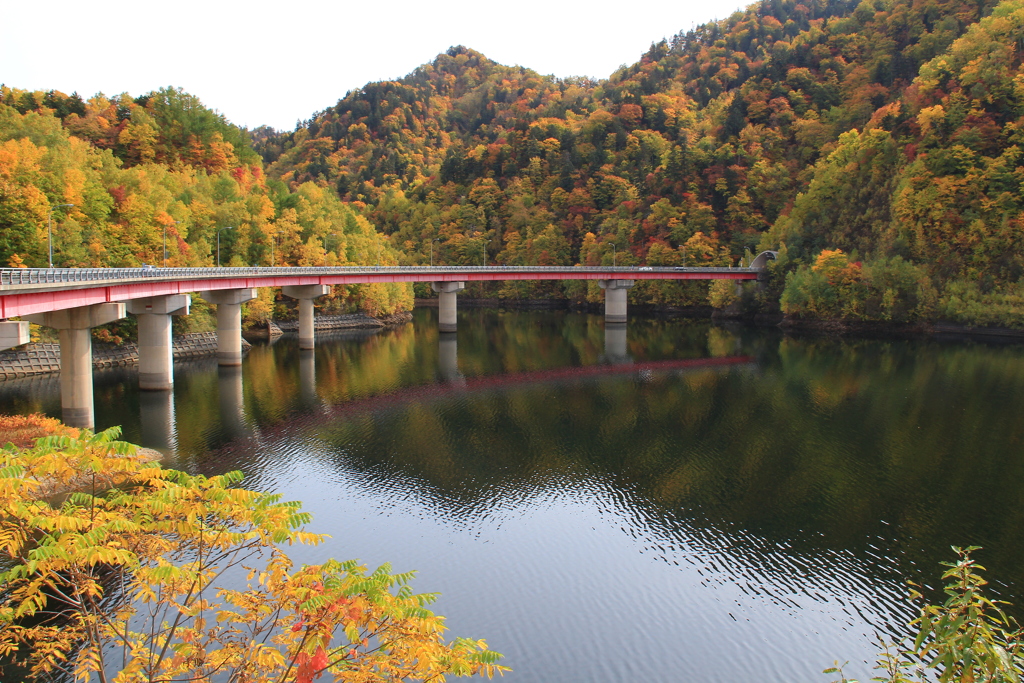 反射と紅葉