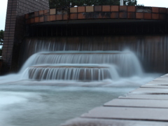 IMG_2648
