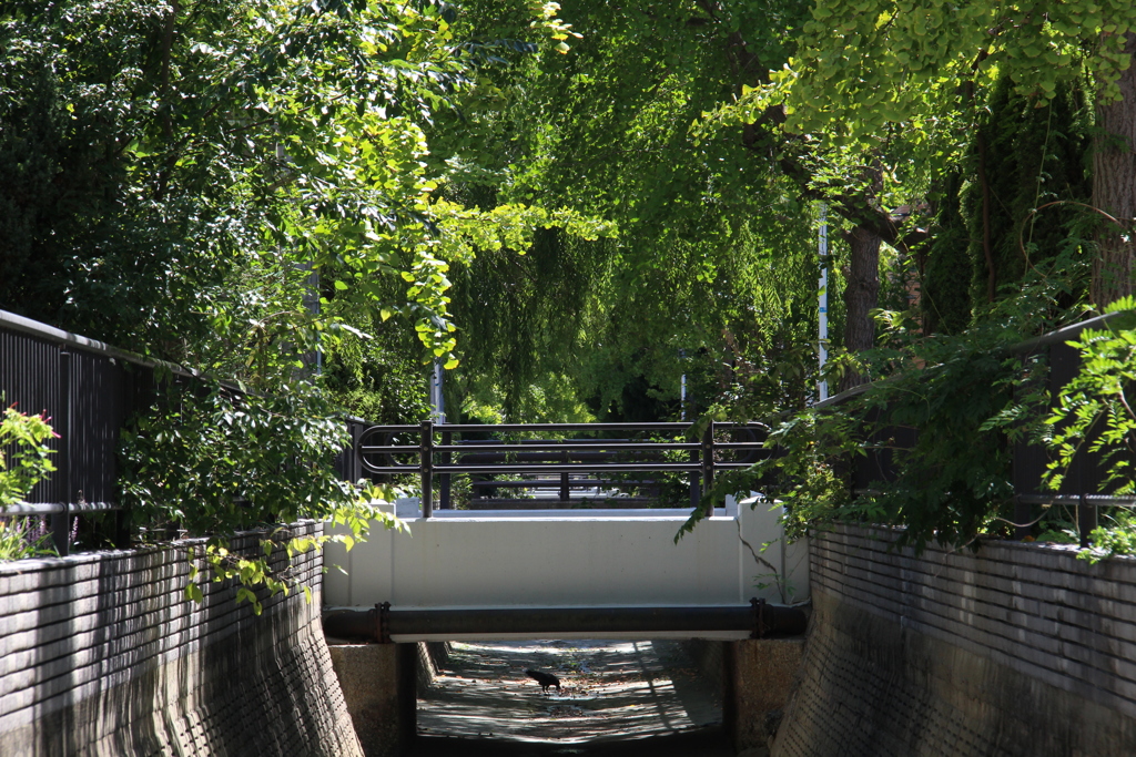 ある町の橋