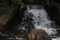 IMG_2534