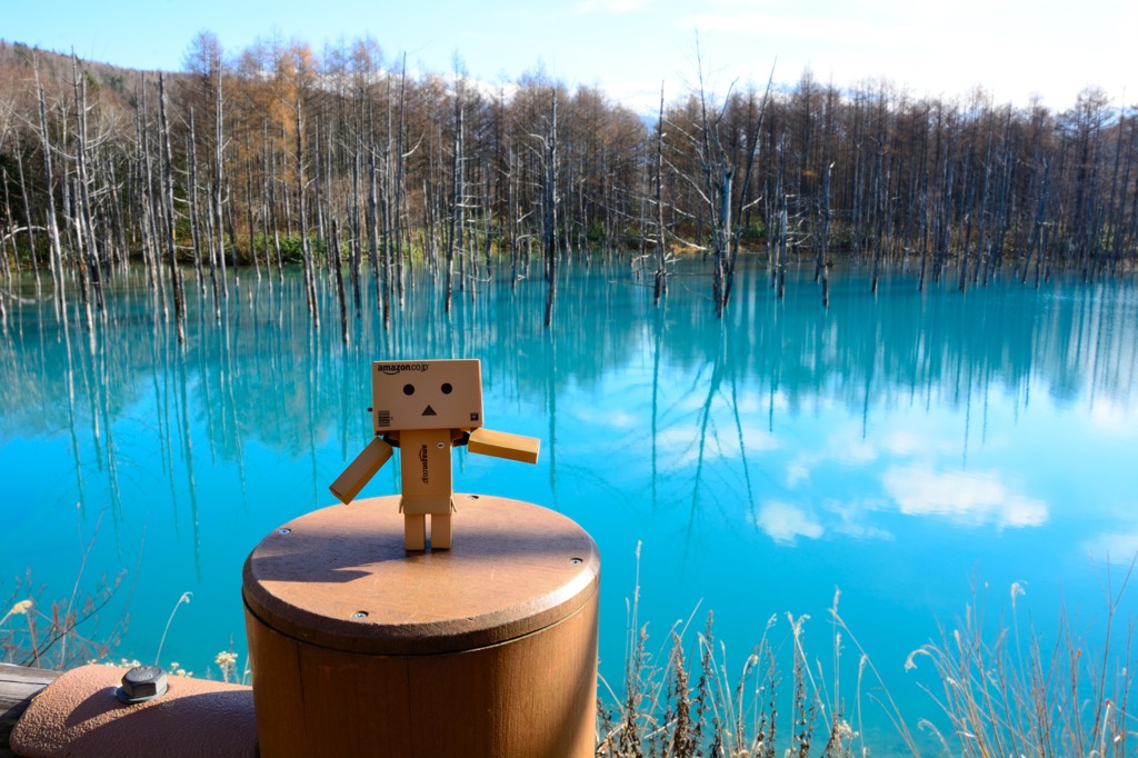 初めての旅行