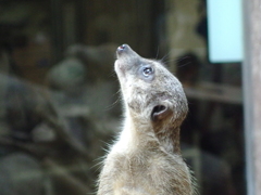 IMGP0646