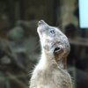 IMGP0646