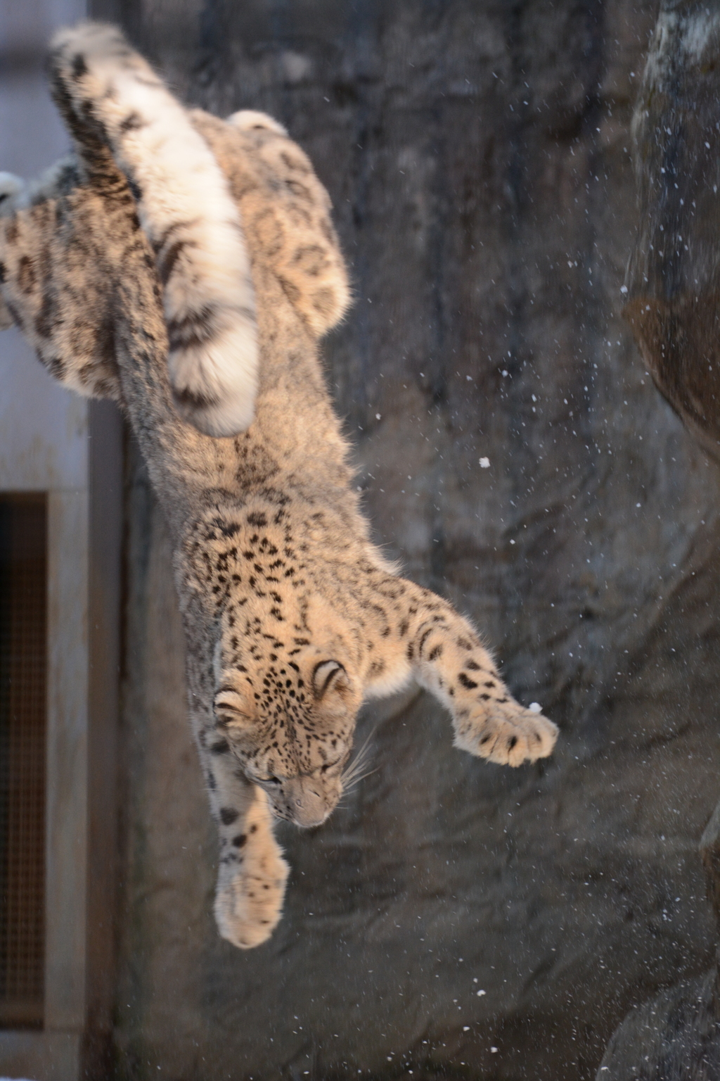 ジャンプ！