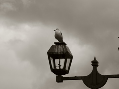 IMGP0348_01