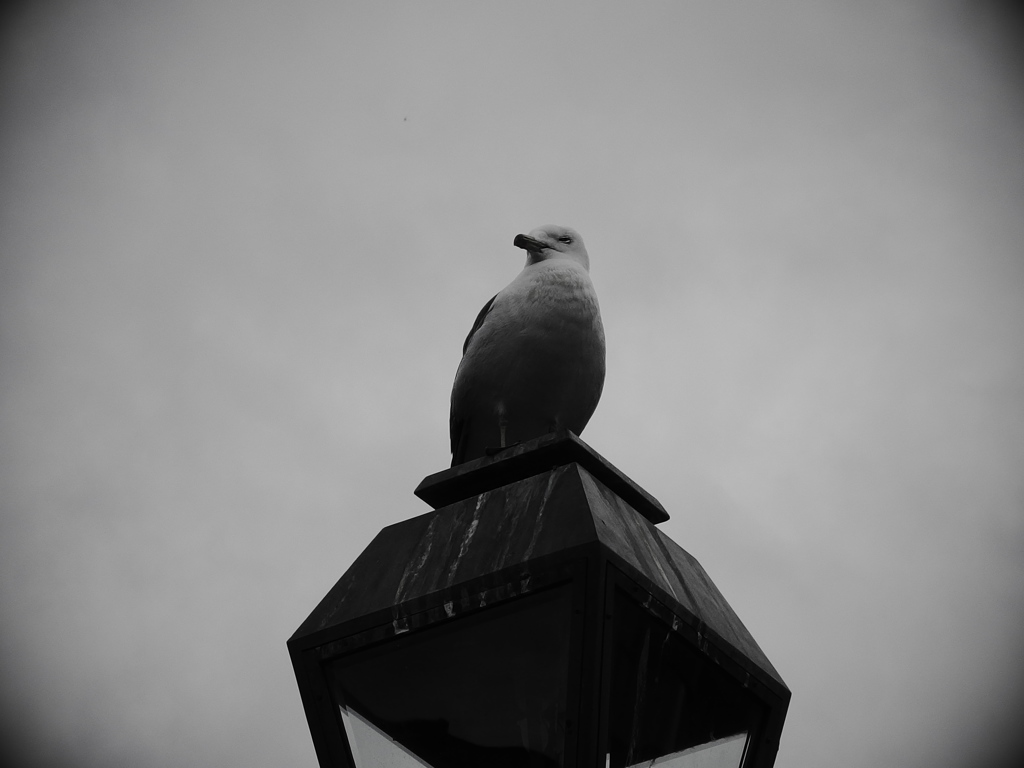 IMGP0349_01