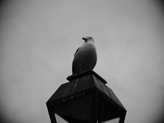 IMGP0349_01