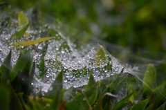 DSC_1830