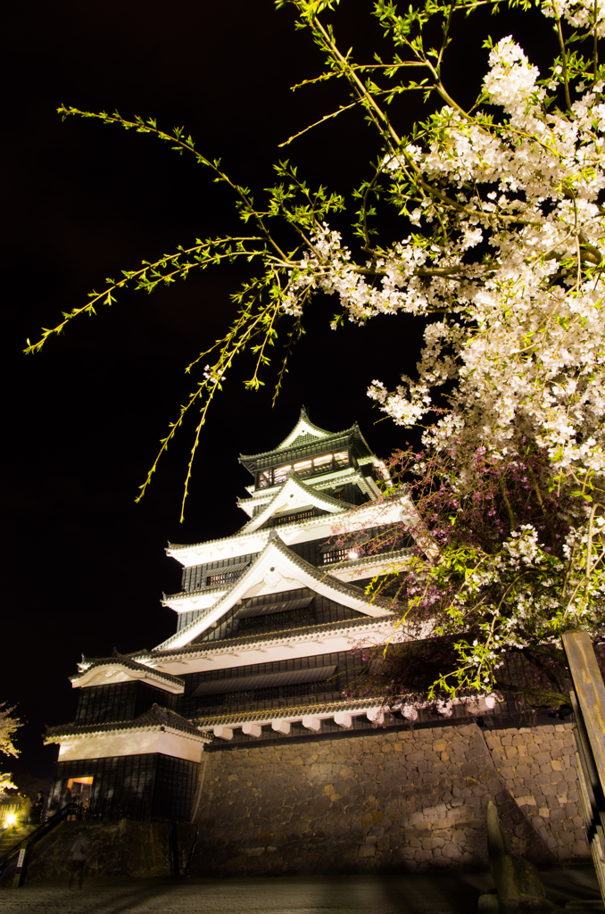 春爛漫-熊本城-