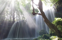 リベンジ鍋が滝
